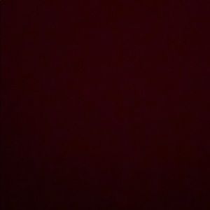 Meet your Posher, Lily